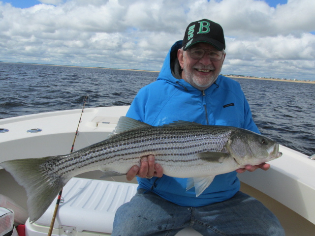 Striped bass charter Newburyport MA